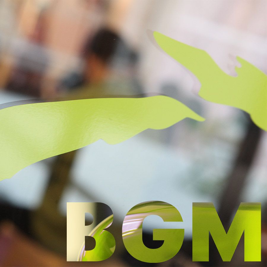 Betriebliches Gesundheitsmanagement BGF BGM